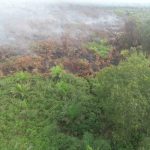 satgas-karhutla-lakukan-pemadaman-a