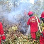 Pekanbaru Tetapkan Status Siaga Darurat Bencana Karhutla Hingga 30 November Mendatang 1779971894