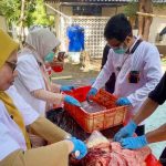 19 Kilogram Organ Hewan Kurban Tak Layak Konsumsi Dimusnahkan 19 Kilogram Organ Hewan Kurban Tak Layak Konsumsi Dimusnahkan