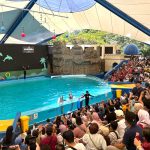 Ancol Dikunjungi 73.325 Wisatawan 73.325 Pengunjung Nikmati Liburan di Ancol