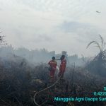 Dua Lokasi Karhutla di Rengat Riau Makin Terkendali, Pendinginan Dilanjutkan Besok 1782784307