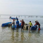 2.671 Substrat Karang di Kepulauan Seribu Pulihkan Ekosistem Pesisir 2.671 Substrat Karang di Kepulauan Seribu Pulihkan Ekosistem Pesisir