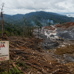 foto papua