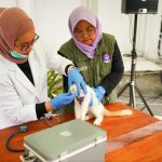Pemprov Riau Hadirkan Pet Hotel dan Pet Ambulance, Permudah Layanan bagi Pemilik Hewan Peliharaan 1782988712