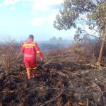 Bertaruh Nyawa Tanpa Sinyal: Perjuangan Petarung Api Manggala Agni di Pulau Serdang Oplus_16908288