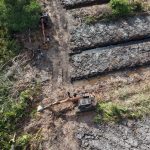 Polda Riau Selidiki Dugaan Perusakan 100 Hektare Hutan Mangrove di Rohil Oplus_16908288