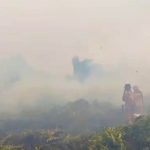 Melawan Angin, Menjinakkan Bara: Detik-Detik Menegangkan di Hutan Pematang Pudu Oplus_16908288