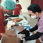 190 Ekor Kucing Jantan Disterilisasi Sudin KPKP Jaksel