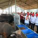 Manfaatkan Sampah Organik, DKI Bakal Bangun Pusat Ketahanan Pangan di Ciangir Manfaatkan Sampah Organik, DKI Akan Bangun Pusat Ketahanan Pangan di Ciangir