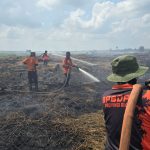 Penanganan Karhutla Riau Terkendali Melalui Modifikasi Cuaca, Satgas Darat dan Udara 1786005943