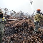 Antisipasi Dampak Asap Karhutla, PERSI Riau Komitmen Rumah Sakit Siaga 24 Jam 1787734207