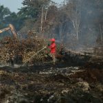 Update Karhutla Riau: Lahan Terbakar Capai 18.770 Hektar 1788517414