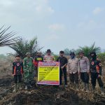 Diduga Bakar Kawasan Hutan untuk Jadi Kebun, Warga Bengkalis Jadi Tersangka 1789218932