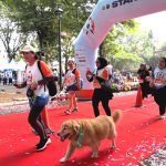 World Rabies Day Run 2026 Diikuti 1.500 Peserta WRD Run Dinas KPKP Berlangsung Meriah